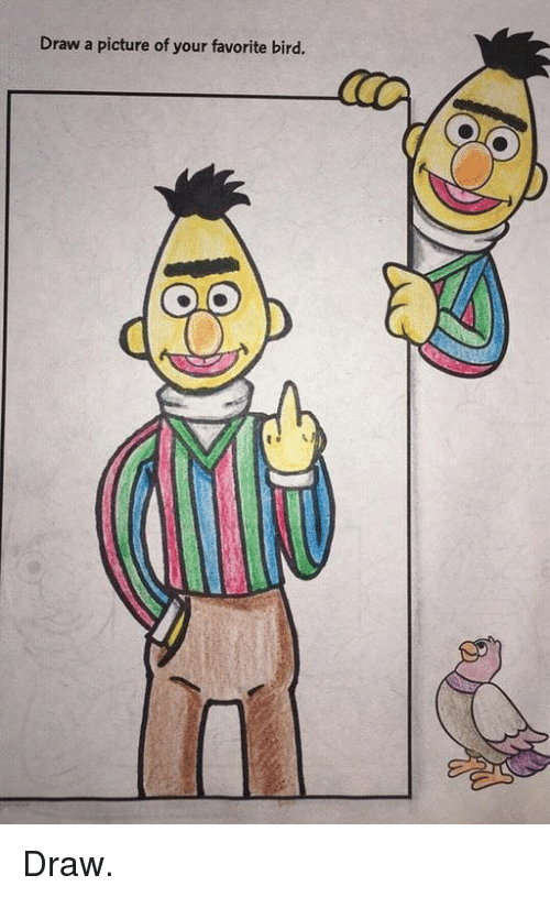 500x815 Draw A Picture Of Your Favorite Bird Draw Funny Meme On Me Me - Funny Bird Drawing