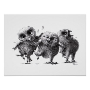 307x307 Funny Bird Drawing Art Wall Zazzle - Funny Bird Drawing