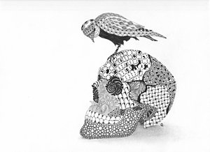 300x218 Funny Bird Drawings - Funny Bird Drawing