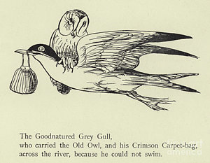 300x233 Funny Bird Drawings Fine Art America - Funny Bird Drawing