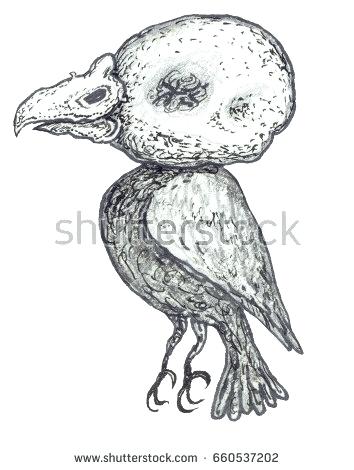 354x470 funny bird drawings bird set of funny ethnic drawings drawing - Funny Bird Drawing