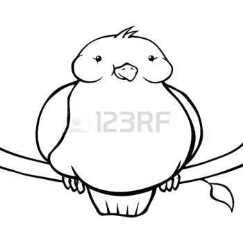 350x350 Funny Bird Drawings How Other People Draw Birds Coloring Games - Funny Bird Drawing