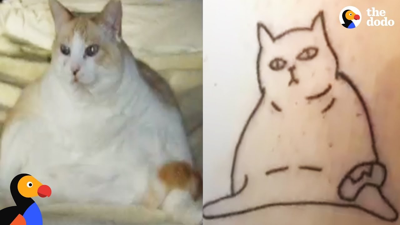 Funny Cat Drawing at PaintingValley.com | Explore collection of Funny