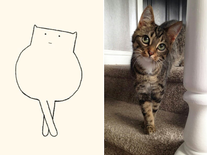 660x495 Really Accurate Cat Drawings - Funny Cat Drawing