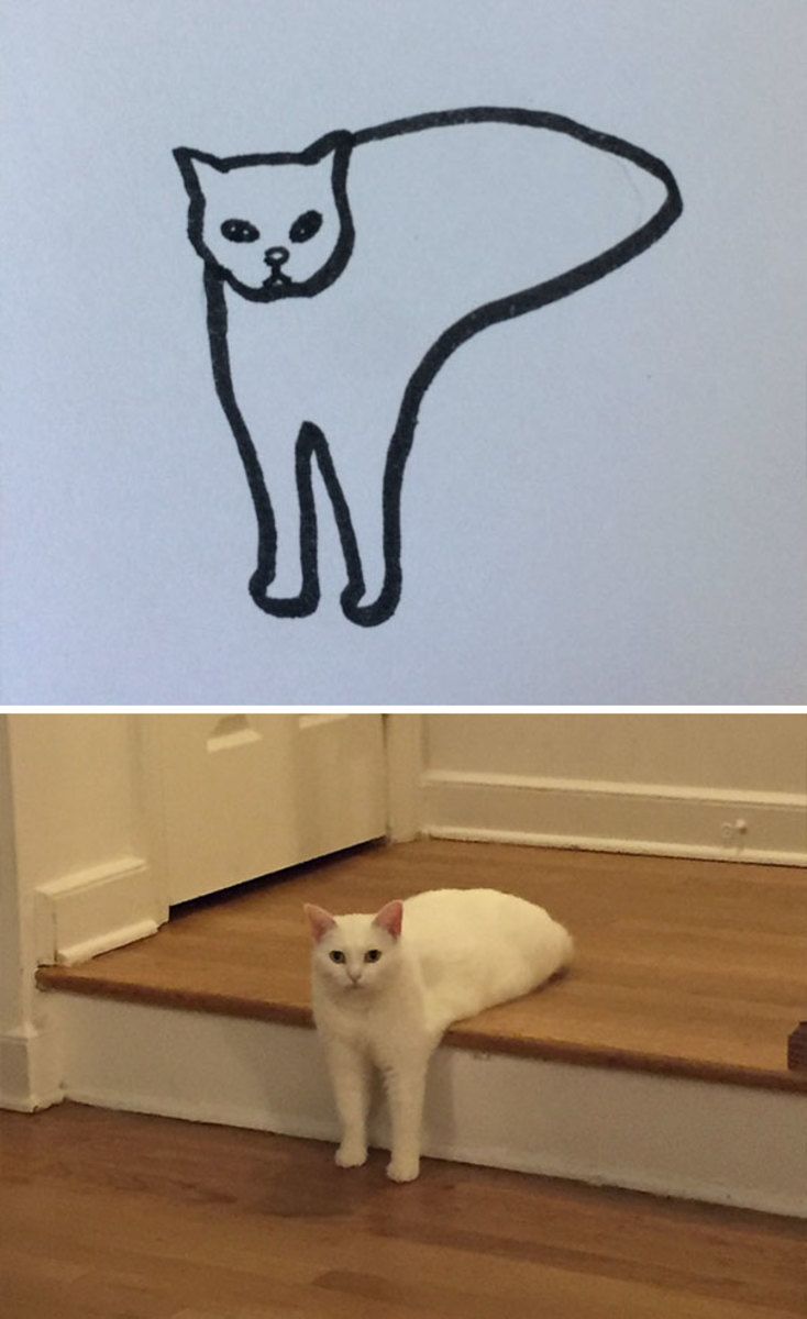 734x1200 This Artist Was Told To Give Up Drawing Cats, But That Didn't Stop - Funny Cat Drawing
