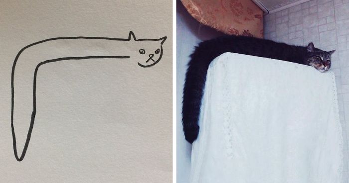 700x368 When Your Teacher Keeps Saying You Can't Draw Cats, But Your - Funny Cat Drawing