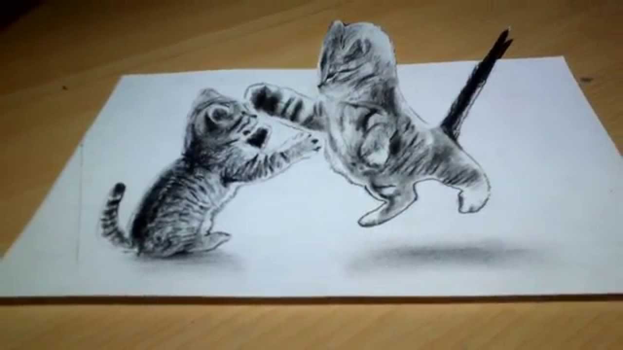 1280x720 cute cat drawing anamorphic illusion - Funny Cat Drawing