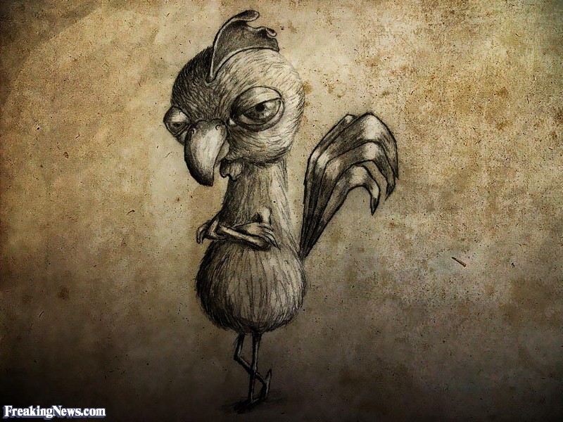 800x600 Little Chicken Drawing Pictures - Funny Chicken Drawing