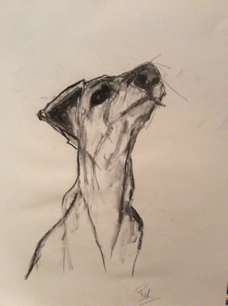 794x1063 Funny Dog Drawing In Charcoal On Paper Original Etsy - Funny Dog Drawing