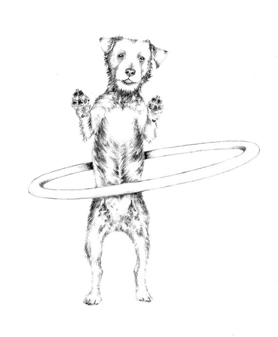 570x690 Hula Hoop Dog Pencil Artwork Hand Drawn Funny Dog Art Etsy - Funny Dog Drawing