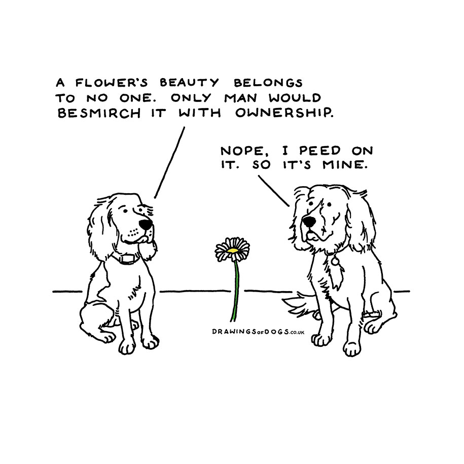 915x915 if dogs could speak artist's hilarious illustrations that helped - Funny Dog Drawing