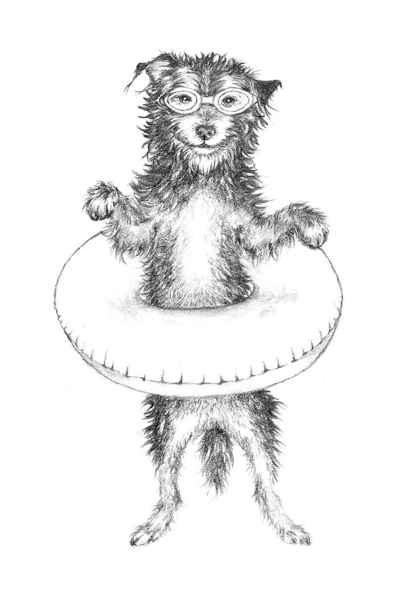 794x1232 Original Dog Artwork Pencil Drawing Dog Drawing Funny Etsy - Funny Dog Drawing