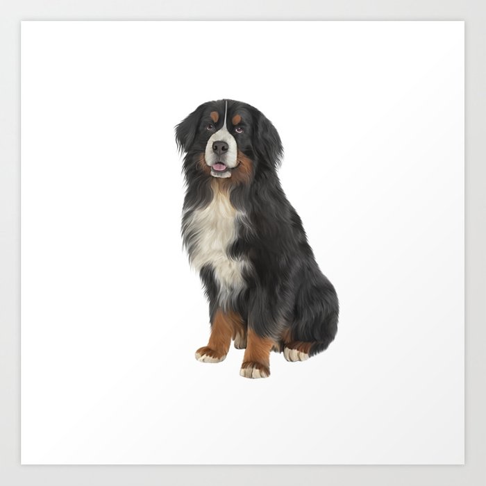 700x700 bernese mountain dog drawing funny dog art print - Funny Dog Drawing