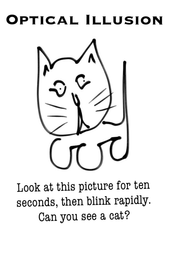 600x900 for laughs and giggles! - Funny Drawing Jokes