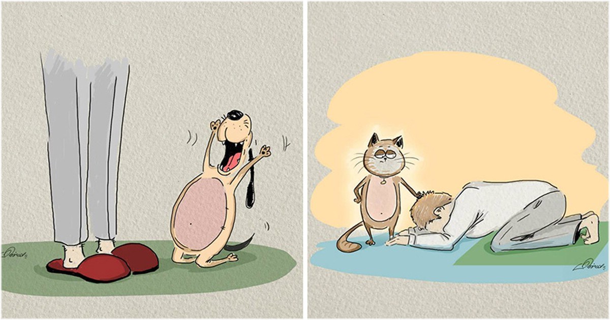 1200x630 Funny Drawings Illustrate The Difference Between Cats And Dogs - Funny Drawings