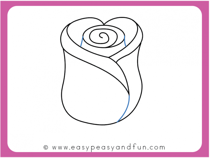 700x528 How To Draw A Rose - Funny Easy Drawings