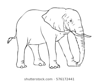 Funny Elephant Drawing at PaintingValley.com | Explore collection of ...