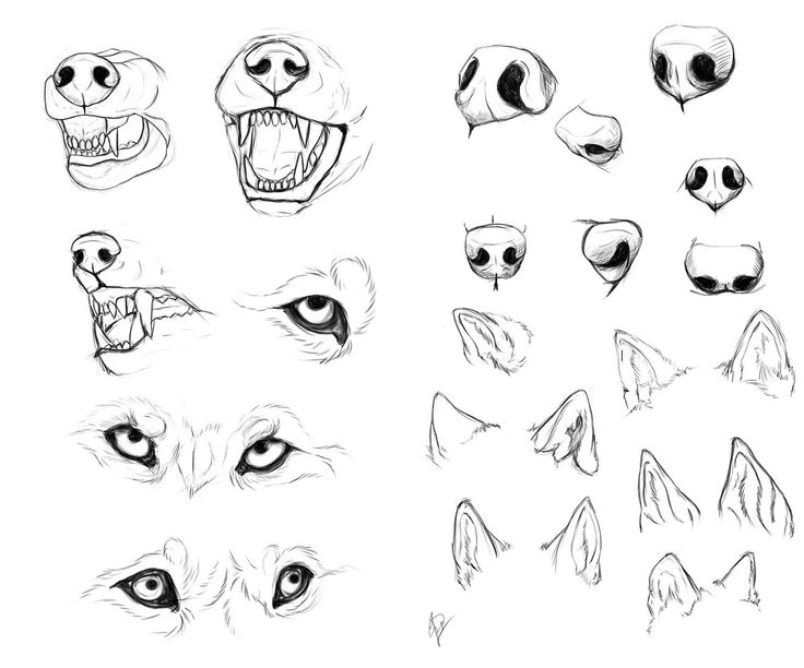 736x612 Funny Eyes Drawing - Funny Eyes Drawing