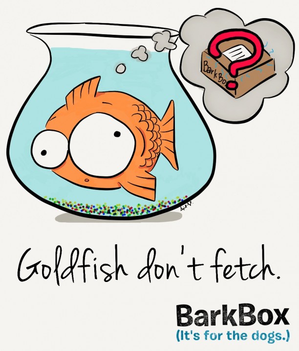 Funny Fish Drawings at Explore collection of Funny