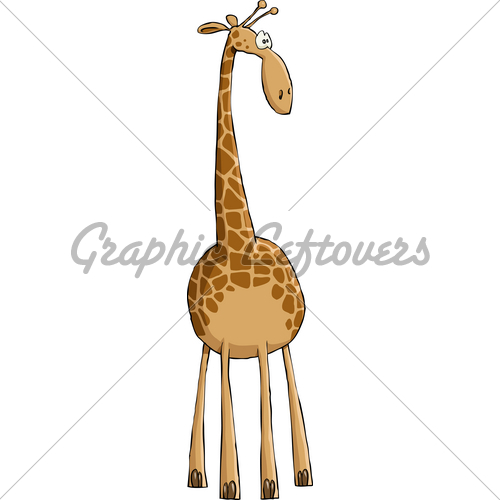 500x500 Giraffe Gl Stock Images - Funny Giraffe Drawing