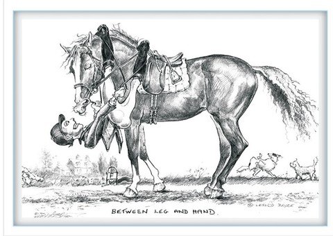 480x340 Between Leg And Hand - Funny Horse Drawing