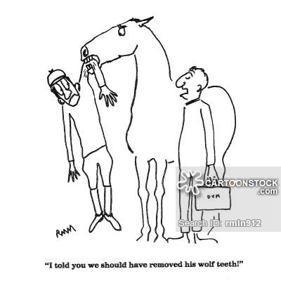 400x400 Horse Bite Cartoons And Comics - Funny Horse Drawing