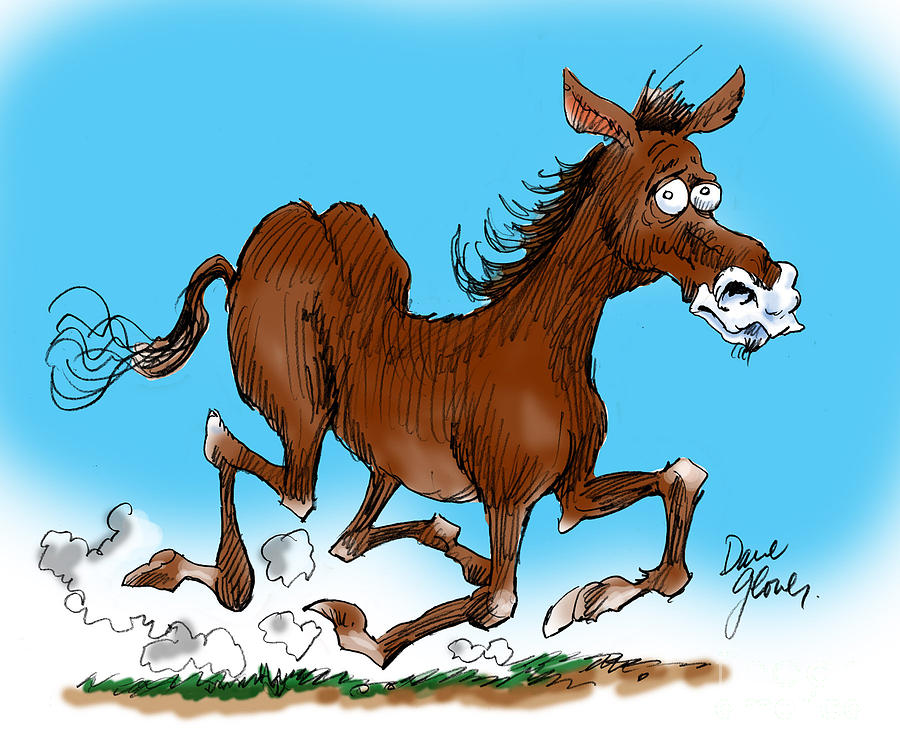 900x754 Old Swayback Drawing - Funny Horse Drawing