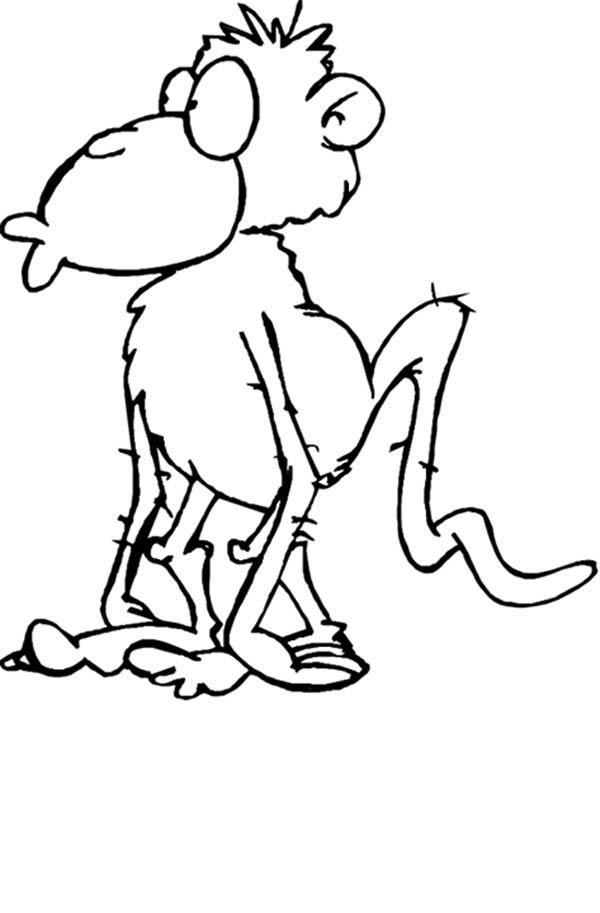 600x913 Funny Monkey Face Coloring - Funny Monkey Drawing