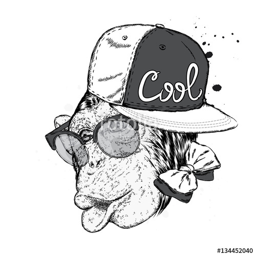 500x500 Funny Monkey Cap And Stylish Sunglasses Vector Illustration - Funny Monkey Drawing