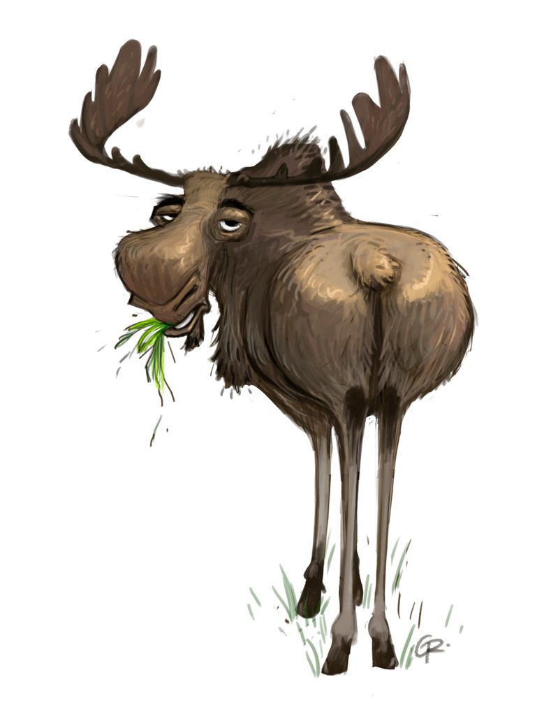 779x1026 Moose - Funny Moose Drawing