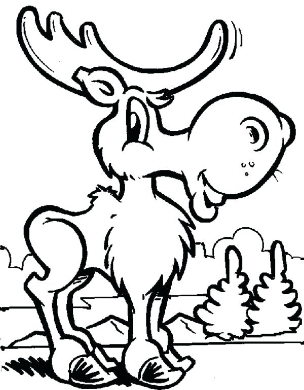 600x769 Moose Drawing Color For Free Download - Funny Moose Drawing