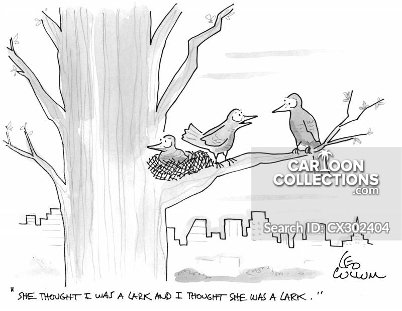 800x618 Funny Person Cartoons And Comics - Funny Person Drawing