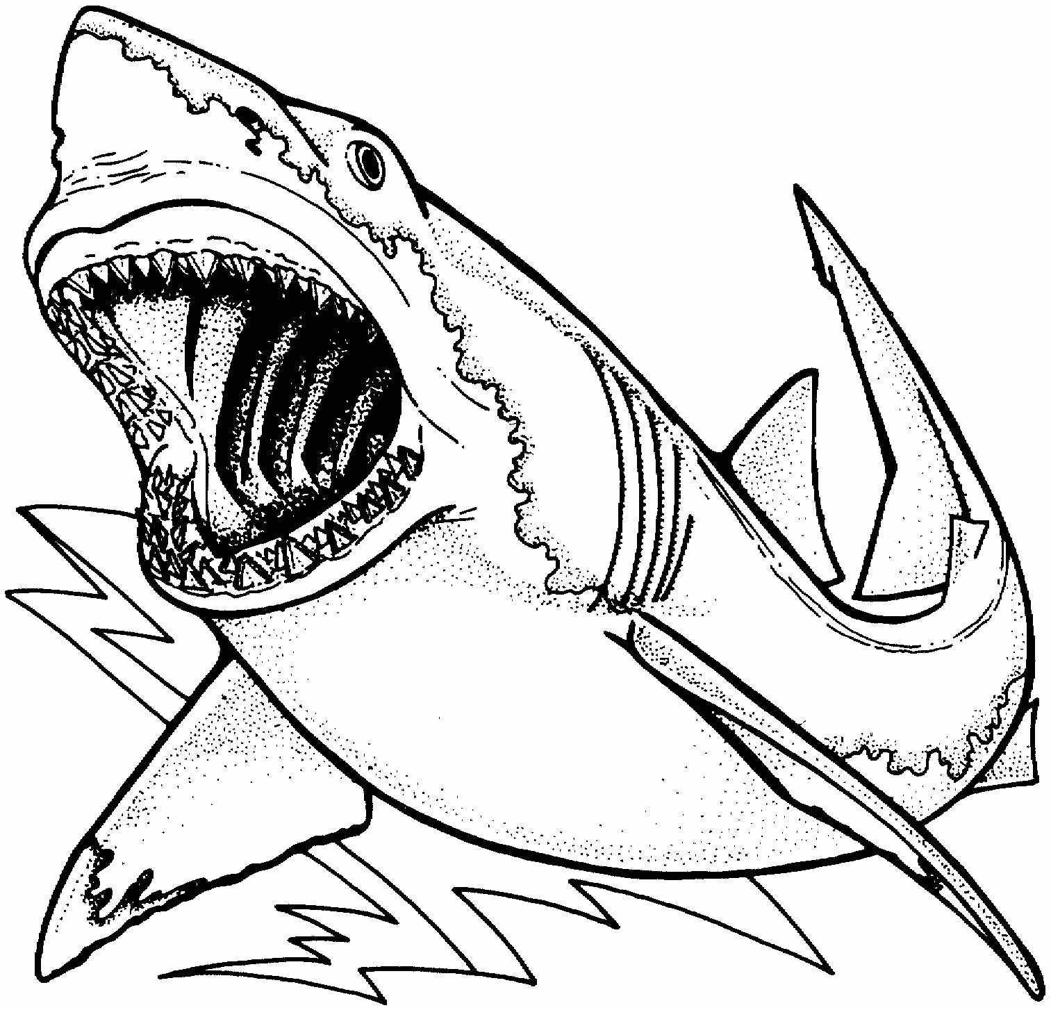 1513x1454 Shark Drawing Coloring Page - Funny Shark Drawing