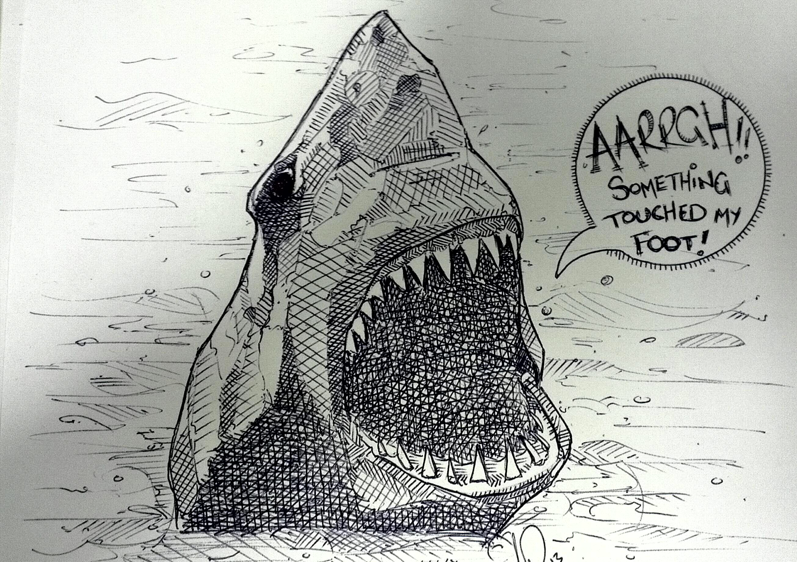 2610x1840 Shit Sharks Don't Say - Funny Shark Drawing