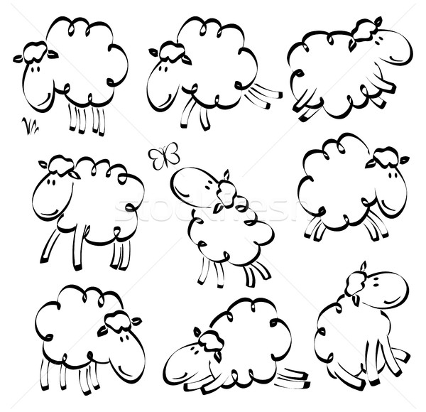 600x580 Funny Sheep Drawing Vector Illustration Jagoda - Funny Sheep Drawings