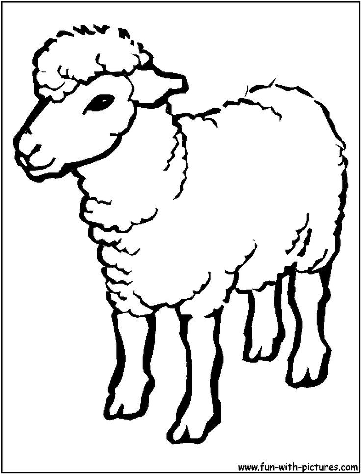736x966 Sheep Outline Drawing Coloring Page - Funny Sheep Drawings