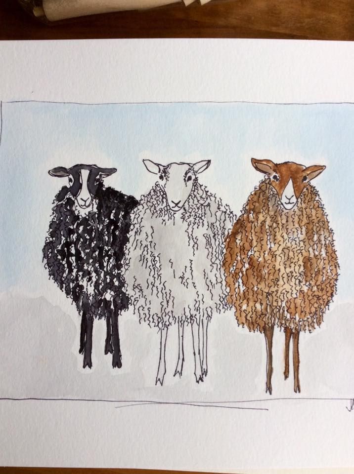 716x960 empty nest happy places in sheep drawing, sheep paintings - Funny Sheep Drawings