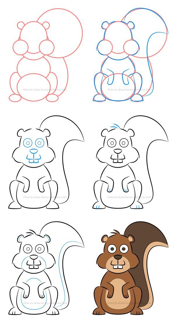 600x1100 How To Draw A Funny Squirrel In Drawings Cartoon Drawings - Funny Squirrel Drawings