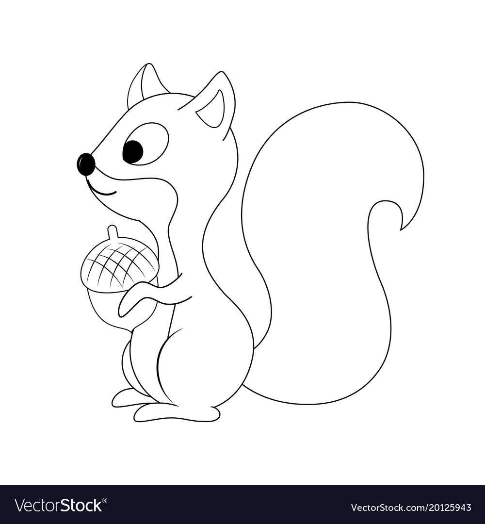 1000x1080 Huge Collection Of 'funny Squirrel Drawing' Download More Than - Funny Squirrel Drawings