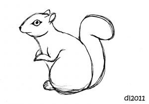 300x210 easy squirrel drawing funny squirrel - Funny Squirrel Drawings