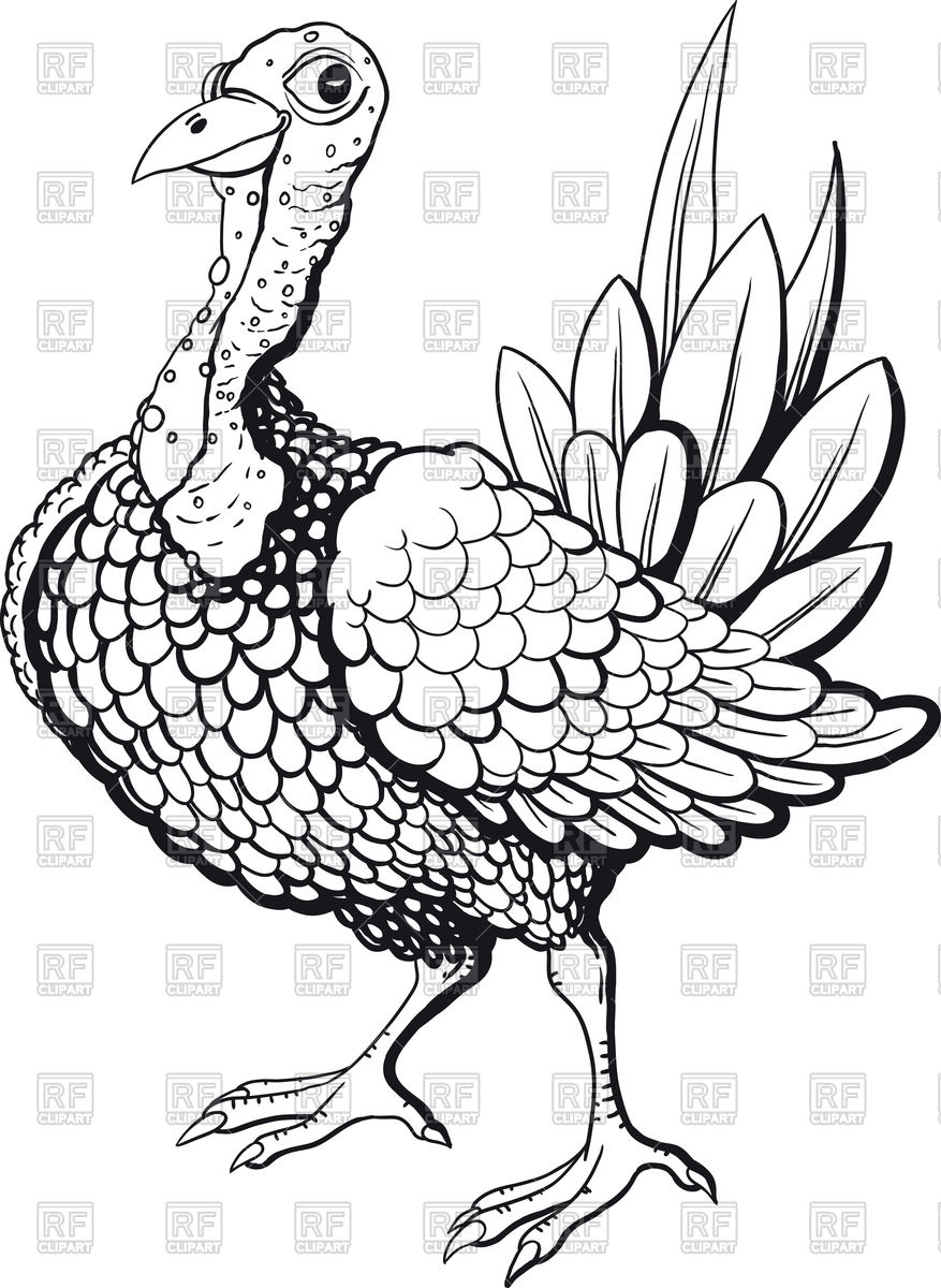 877x1200 Funny Turkey In Black And White Flowers Isolated On White - Funny Turkey Drawings