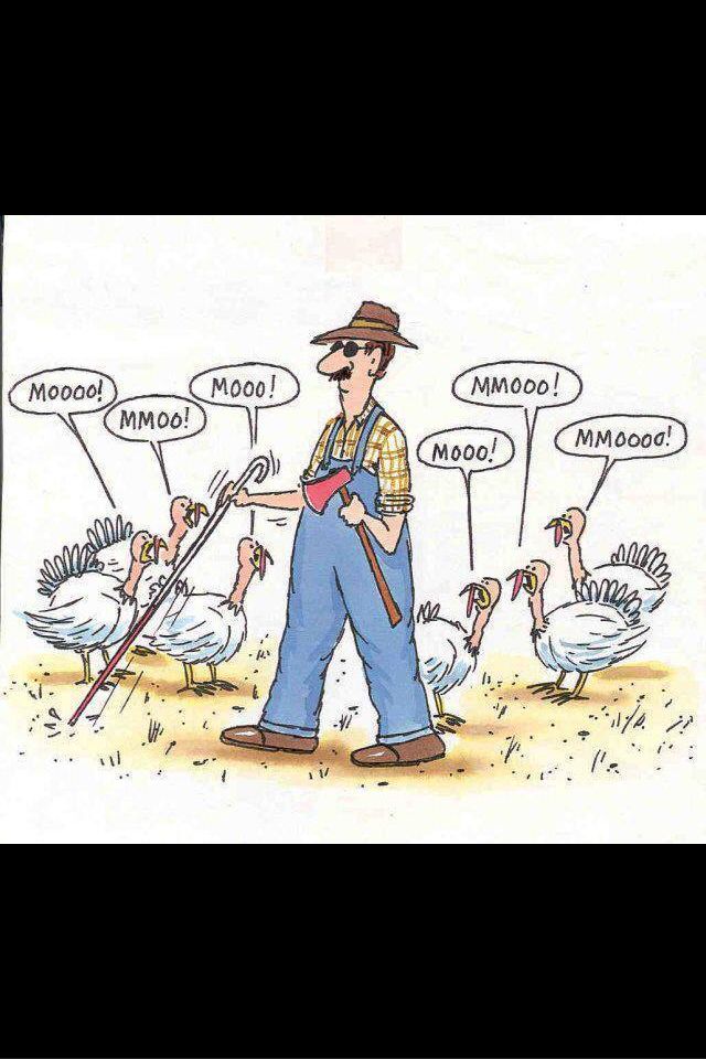 640x960 turkey time when i need a good laugh funny - Funny Turkey Drawings