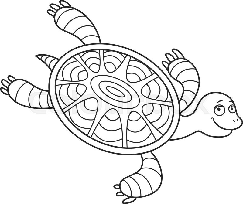 800x672 Funny Turtle Drawing - Funny Turtle Drawings