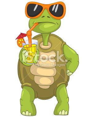 285x380 Cartoon Character Funny Turtle Isolated On White Background - Funny Turtle Drawings