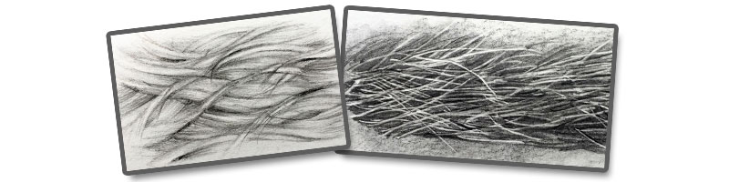 800x200 how to draw animal fur - Fur Texture Drawing