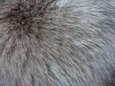 236x177 best furs images in animal fur, fur, textures patterns - Fur Texture Drawing