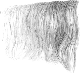 267x243 Animal Textures - Fur Texture Drawing