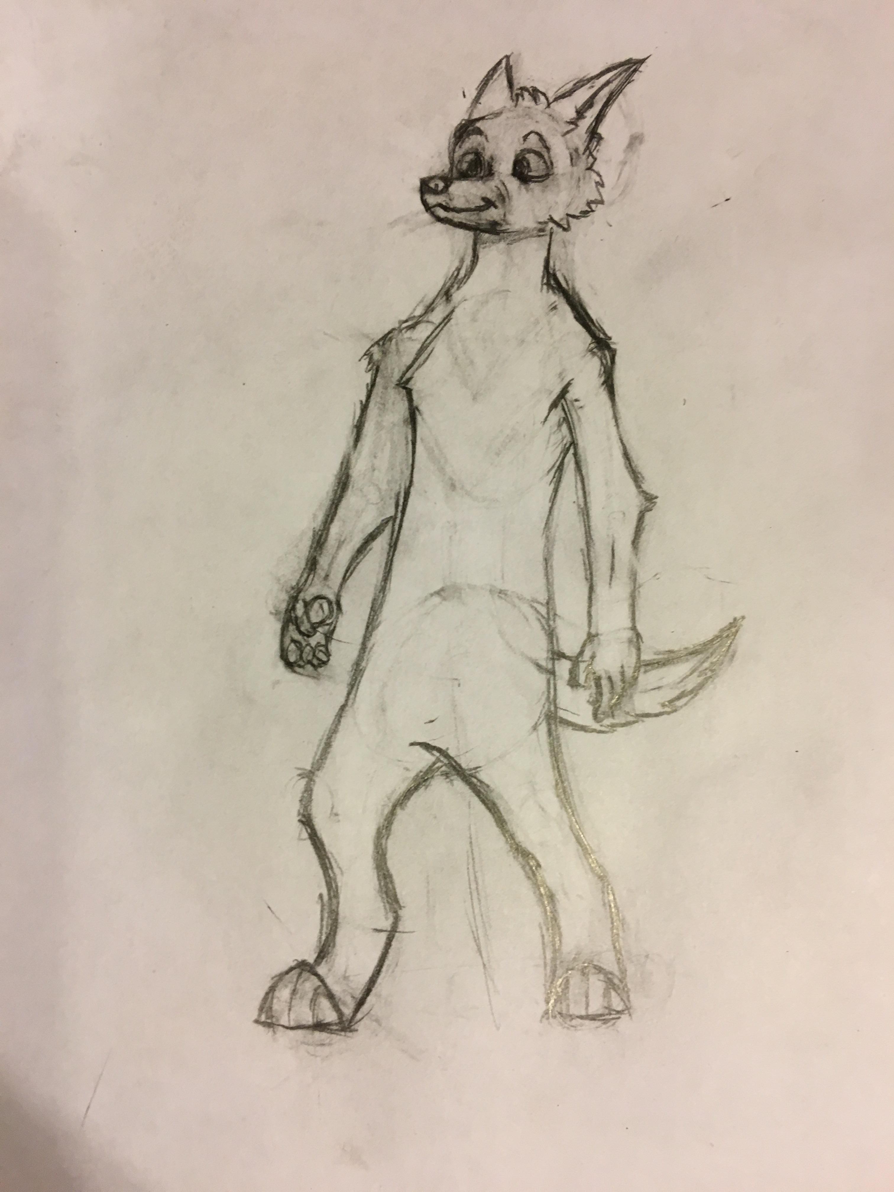 3024x4032 First Real Furry Drawing I've Done - Furry Drawing