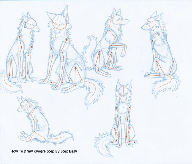 736x629 How To Draw Kyogre Step - Furry Drawing