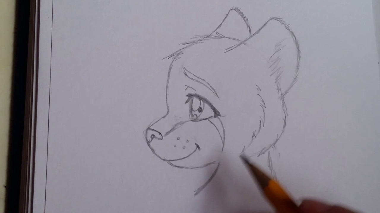 1280x720 How To Draw Cheetah Furry - Furry Drawing